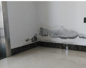 花都周邊專業防水補漏服務 全面解決廁所漏水、窗臺滲水與衛生間維修難題